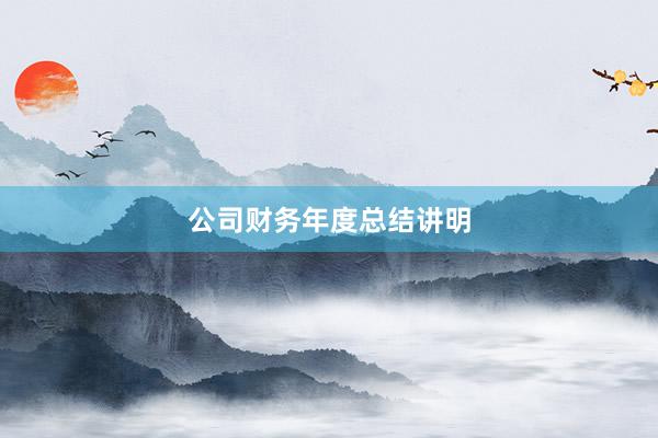公司财务年度总结讲明